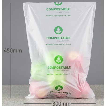 Compostable Packing Bag - Large NAT300450