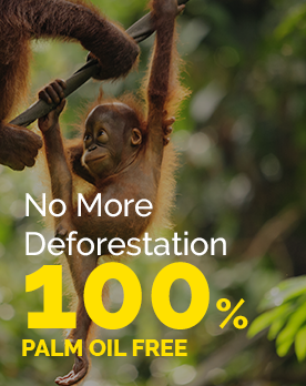 No More Deforestation